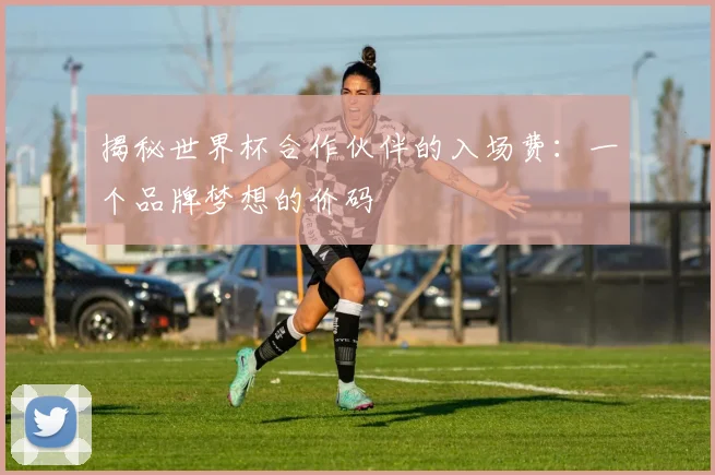 揭秘世界杯合作伙伴的入场费：一个品牌梦想的价码